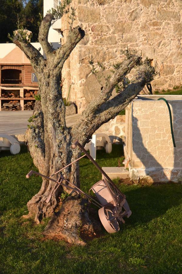 Casa Da Trapa Villa Oliveira de Azemeis Luaran gambar
